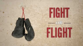 fight-or-flight.jpg